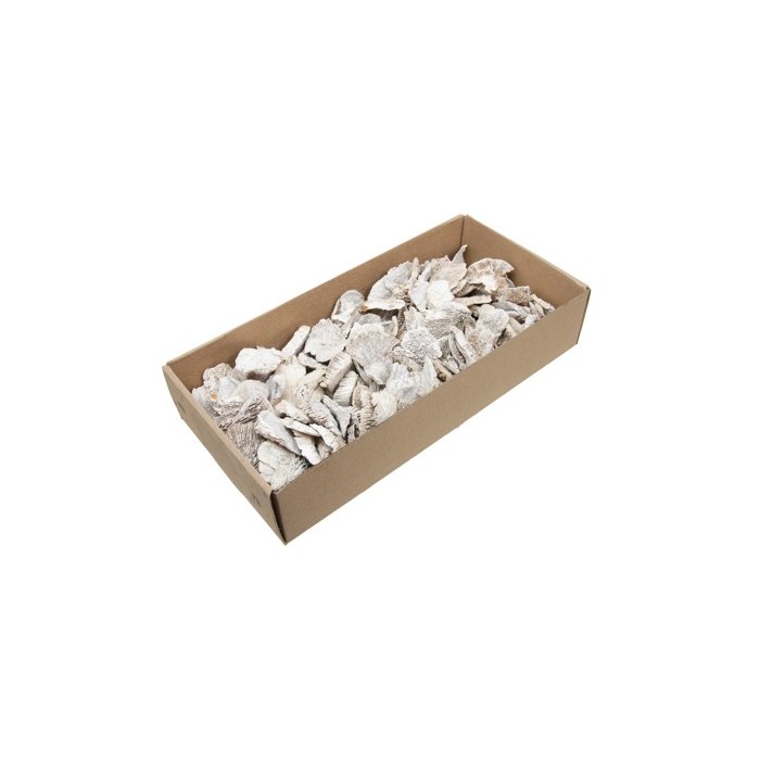 BOLETS ESPONJA TROSSETS CAIXA 400gr BLANC RENTAT