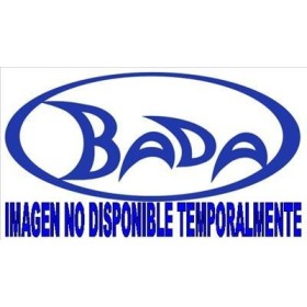 ONCIDIUM  M12- 60cm. 1 vara ramificado