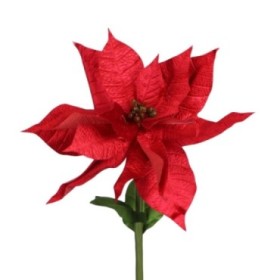 FLOR poinsettia TERCIOPELO 38x38x100cm