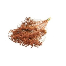 F.SECA, Broom bloom pom teca CRAFT