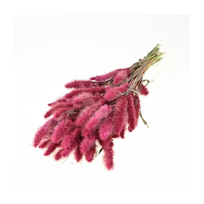 F.SECA, Setarea rosa dolç CRAFT