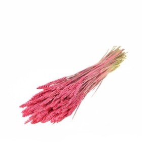 F.SECA, Tarwe rosa dolç CRAFT