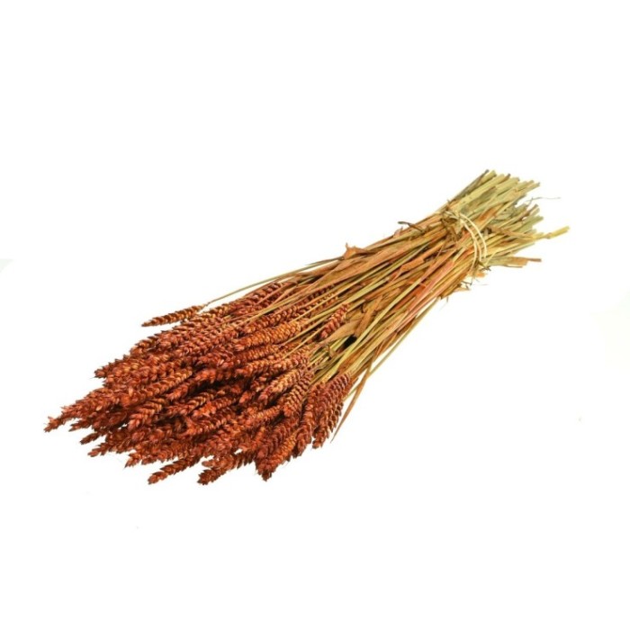 F.SECA, Haver (avena) teca CRAFT