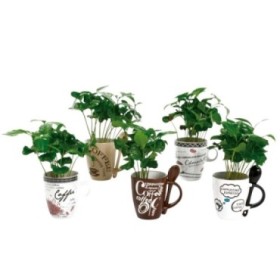 COFEA  M 6 mini CERAMICA