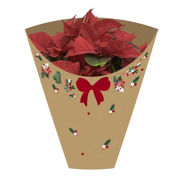 FUNDA PONSETTIA P14 50x45x15cm (25u.)