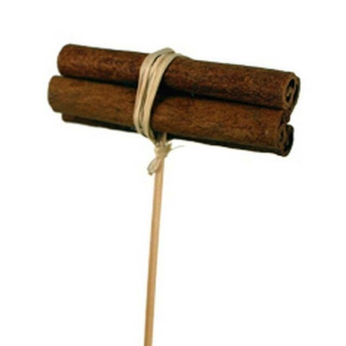 PICK RAMITO CANELA 3x3.5cM+50cm PAL X25