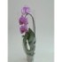 PHALAENOPSIS 1 VARA M12- 50cm. CASCADA