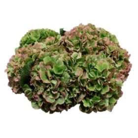 FLOR, HORTENSIA VERDA 60cm x5 tiges.