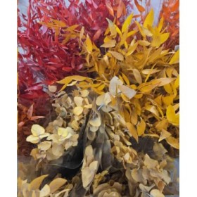 VERDS, FULLA MIX PRESERVAT