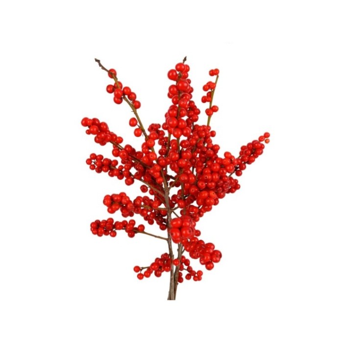 FLOR, ILEX VERTICILLATA 50cm. x10 tiges. SUPER