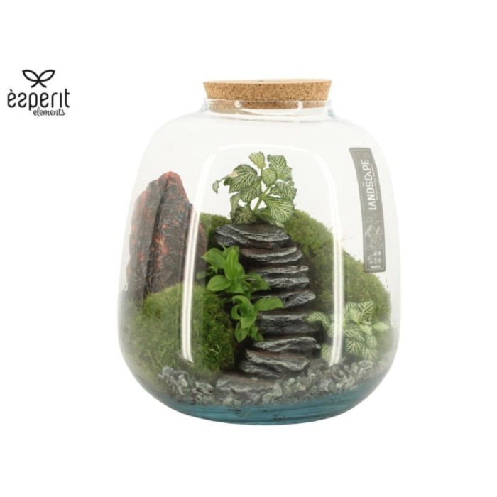 TERRARI PLANTA MINI D23 H25 Landscape