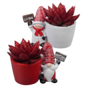 ECHEVERIA MIRANDA PINTADA M12 CERAMICA NADAL