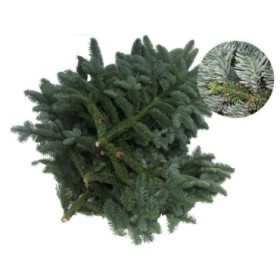 NOBILIS, PAQUETE 5kg EXTRA