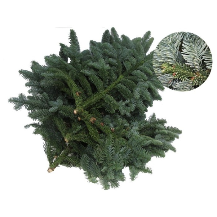 NOBILIS, PAQUETE 5kg EXTRA