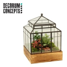 TERRARI PL MINI DECORUM CONCEPTS D32 Wardian Case
