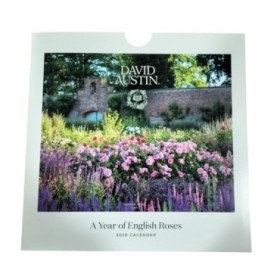 CALENDARI PARET 2026