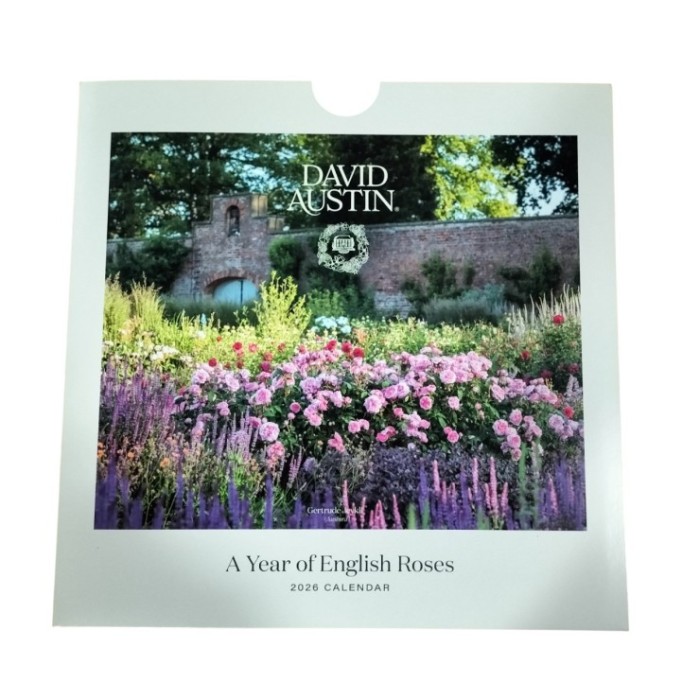 CALENDARIO PARED 2026