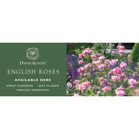 SALES BANNER LONA EXTERIOR 21x180cm