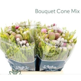 FLOR, KAAPS MIX 50cm.