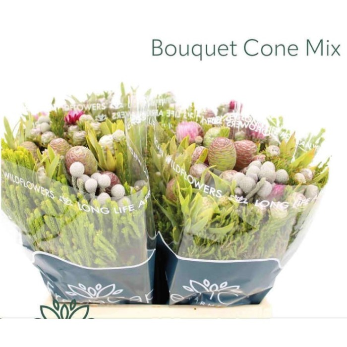 FLOR, KAAPS MIX 50cm.