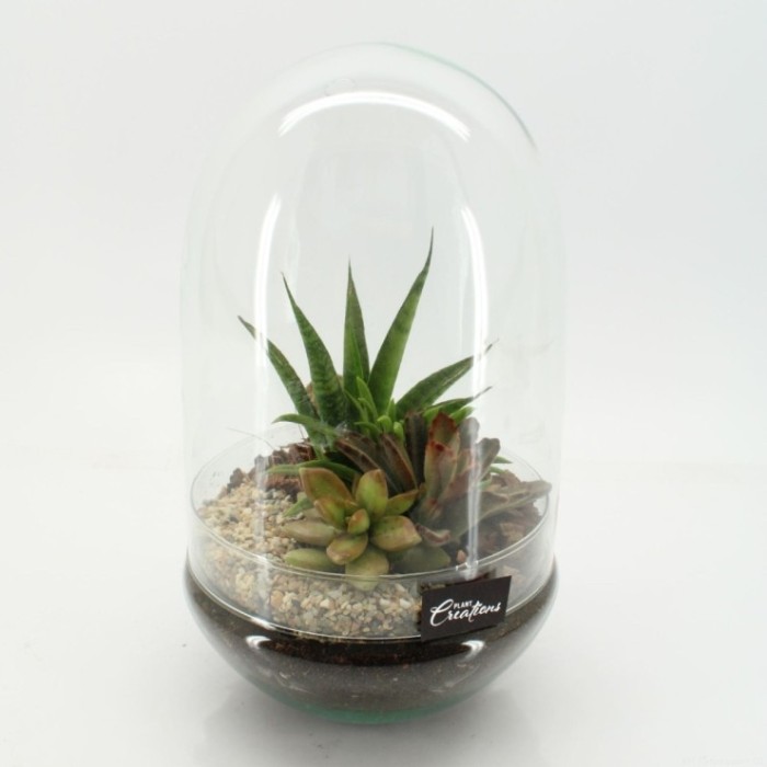 TERRARI PL. CRASA M17 H30