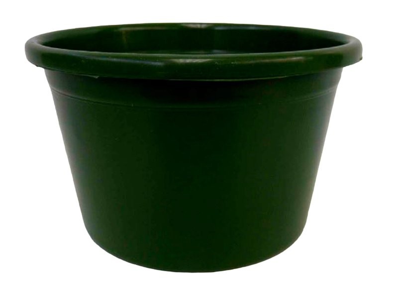 OASIS ACB TARRINA D20cm  H14cM PG VERD 