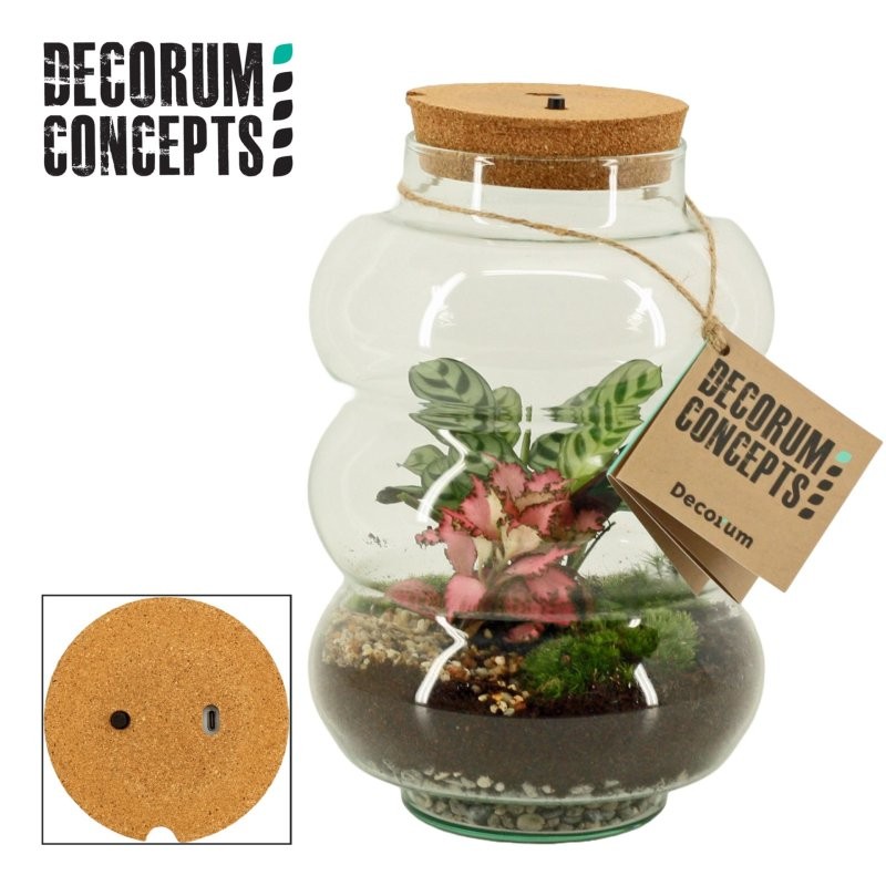 TERRARI PL MINI DECORUM LED USB D17 Pluto Medium