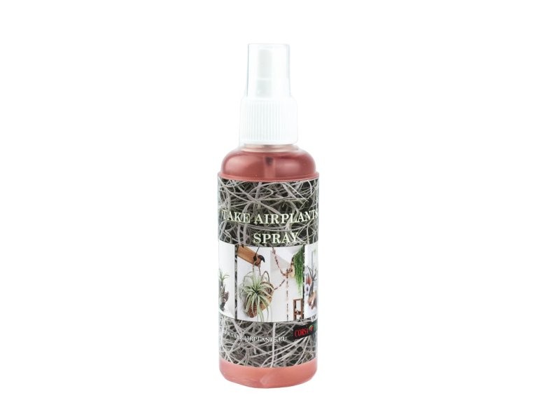 TILLANDSIA SPRAY 125ml