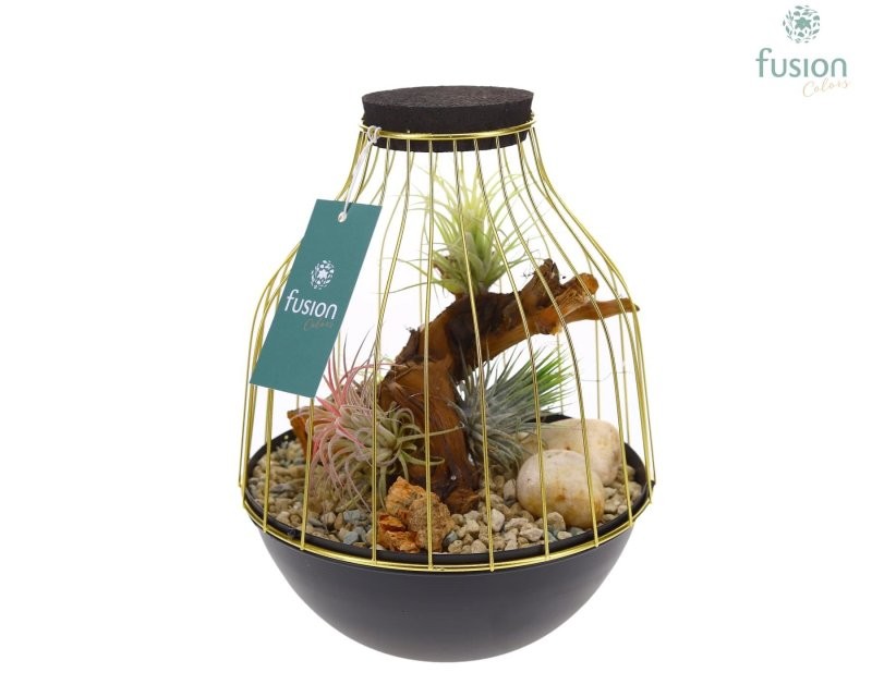 THILLANDSIA SUELTA GABIA METALL D19 H25