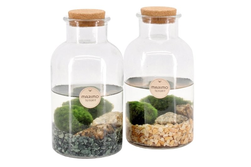 TERRARI  MARIMO D10 H20