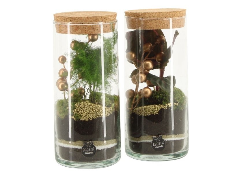 TERRARI PLANTA MINI D 9 H20 X-MAS