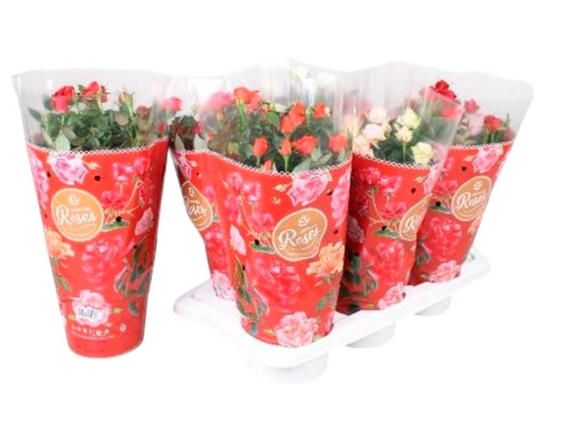 ROSER   MINI  M17 FAVORITE VERMELL **Reserves Sant Jordi