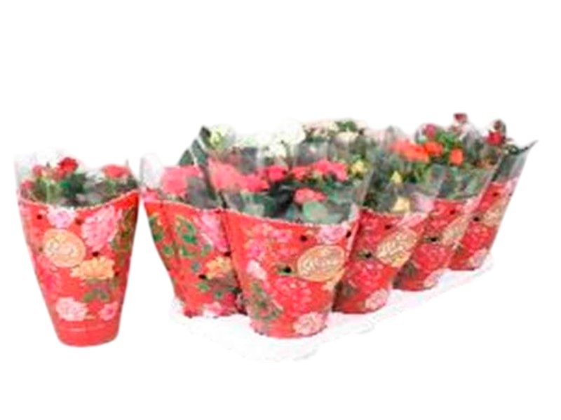 ROSER   MINI  M13 FAVORITE VERMELL *RESERVES S.JORDI*