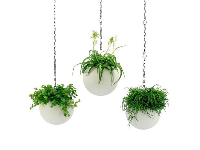 PLANTA VERDE MIX EN GLOBEE M20 H25