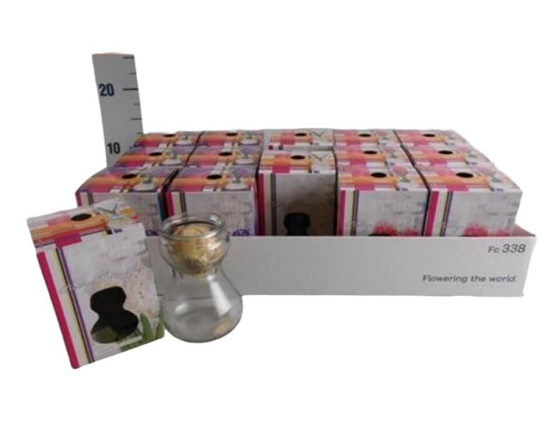 JACINTHUS, got de vidre