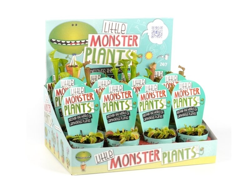 PLANTES CARNIVORES MIX  M 9 Expositor