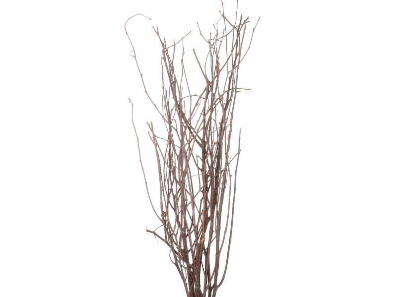 VERDS, SALIX 250CM 10 tiges.