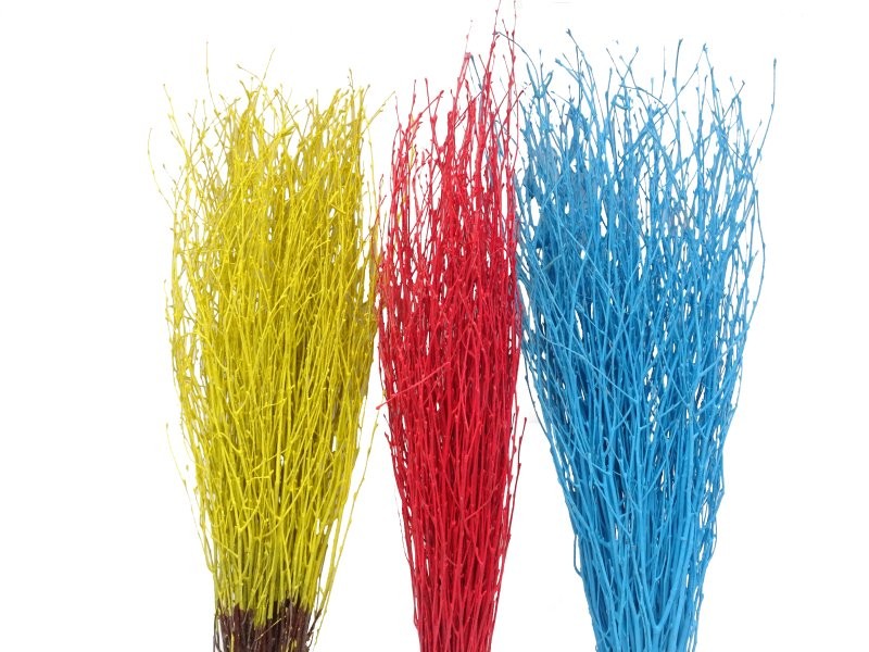 BIRCH 60cm. (paq. x50 tiges) MIX COLORS