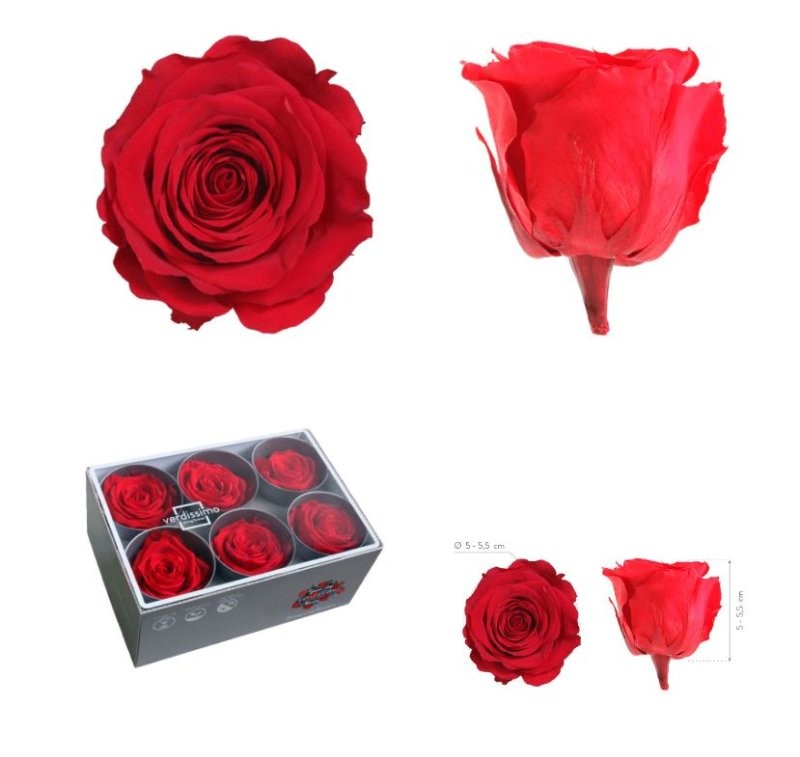 ROSA PRESERVADA SENSE TIJA VERMELLA CAIXA 6UN