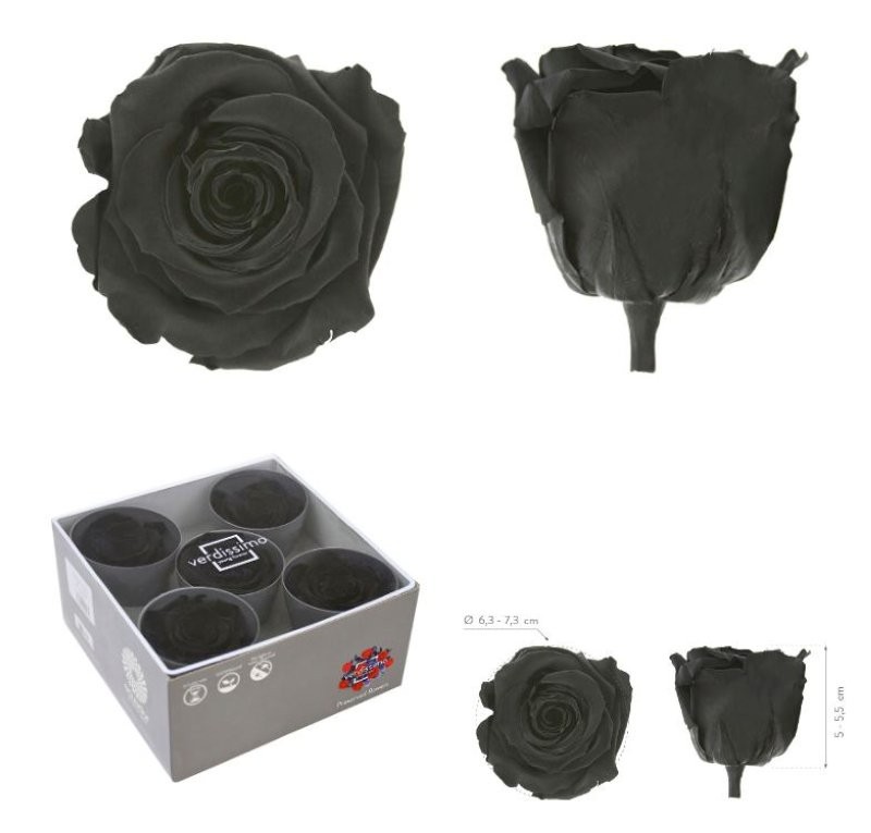 ROSA PRESERVADA SENSE TIJA NEGRA CAIXA 5 UNI