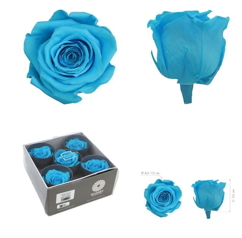 ROSA PRESERVADA SENSE TIJA BLAU TURQUESA CAIXA 5U