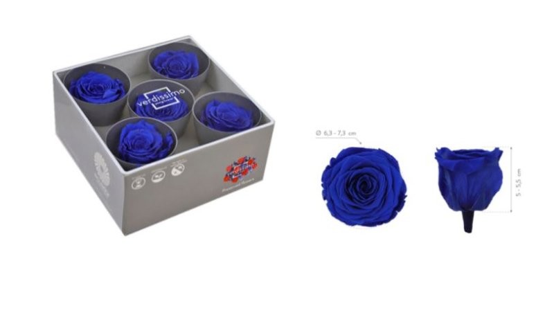 ROSA PRESERVADA SENSE TIJA BLAU FOSC CAIXA 5UNI