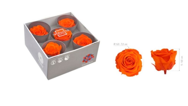 ROSA PRESERVADA SENSE TIJA TARONJA CX 5UNI