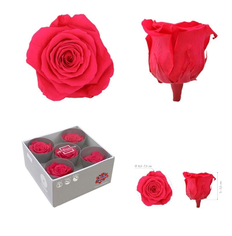 ROSA PRESERVADA SENSE TIJA ROSA FOSC CAIXA 5UNI