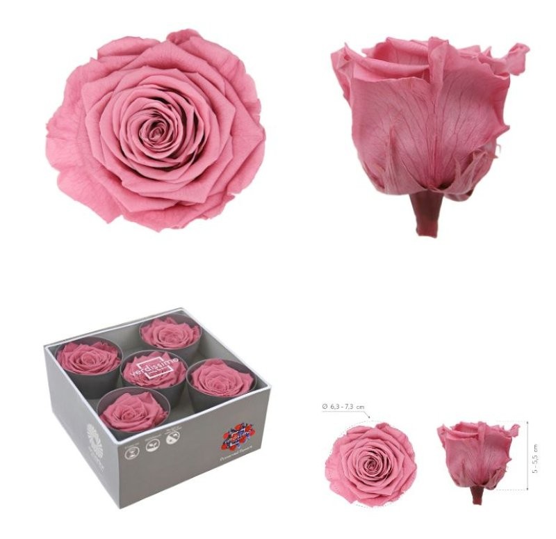 ROSA PRESERVADA SENSE TIJA CHERRY VINATGE CX 5UNI