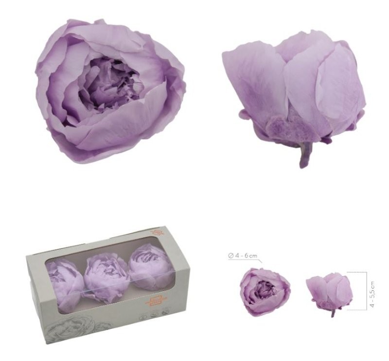PEONIA PRESERVADA LILA CLAR 3UN