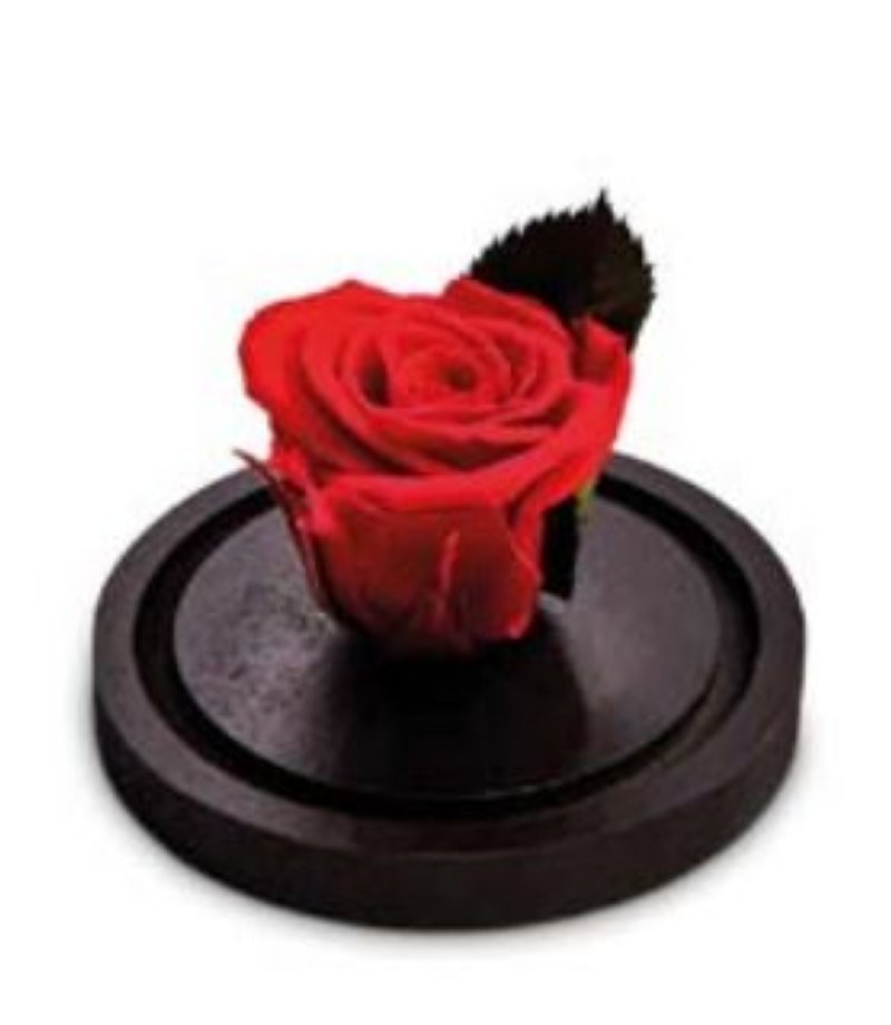 MINI CUPULA BELLA VERMELL 7x7x10cm UNITAT