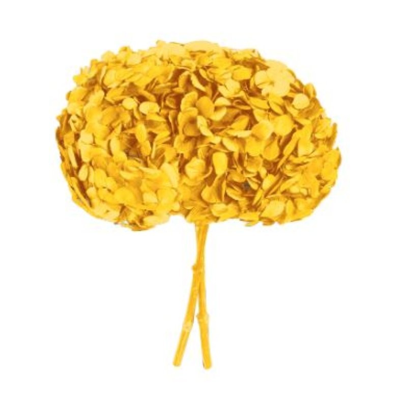 HORTENSIA PRESERVADA GROC SUAU D16-20CM UNI