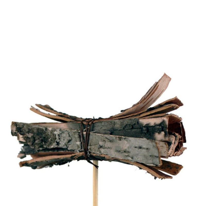 PICK FARCELL birch 8x3cm+50cm PAL 25UNI