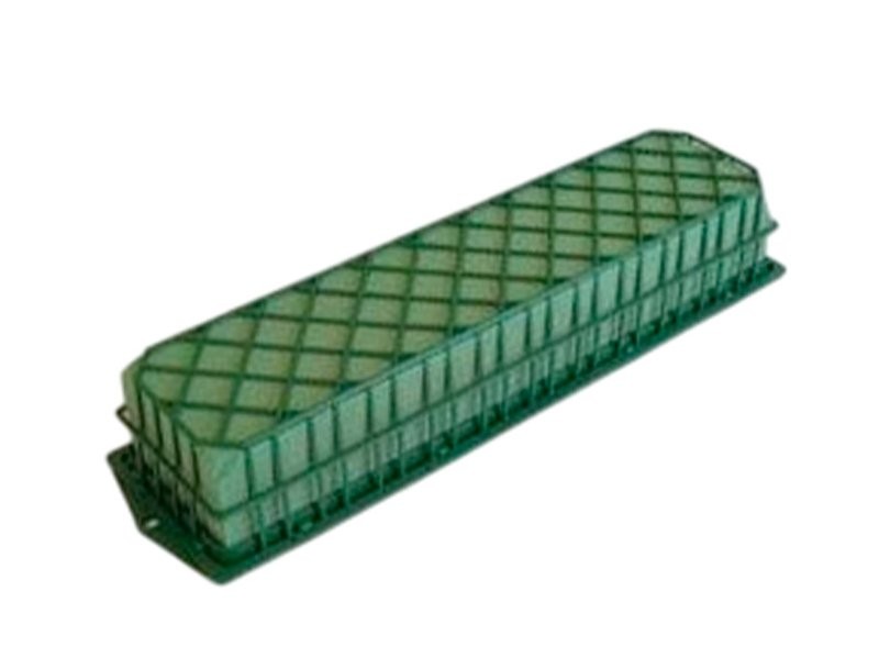 OASIS ACB PALMABOX 2 PAST ALLARGADES